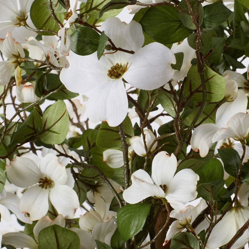 Silk Dogwood Tree in Pot & Reviews AllModern